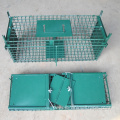 Collapsible Double Doors Pest Animal Trap Cages